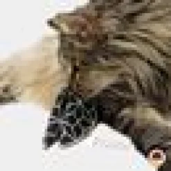 Kattleksak 4cats Lyckokaka Valerian Mix