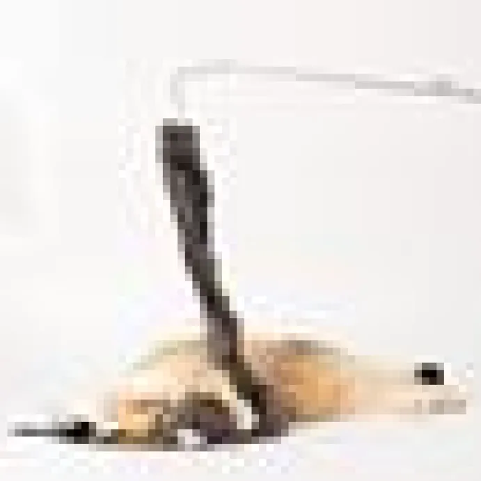 Kattleksak Fur Snake Refill