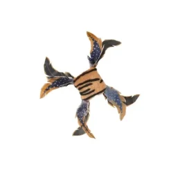 Kattleksak Jungle Fyrkant