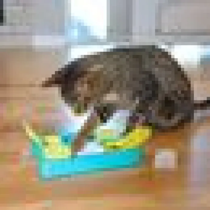 Kattleksak Kitty Cube Nina Ottosson