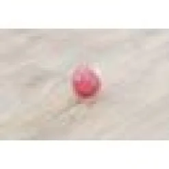 Kattleksak Trixie´s aktiveringsboll