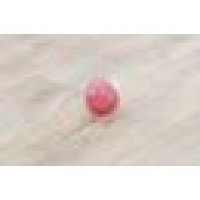 Kattleksak Trixie´s aktiveringsboll