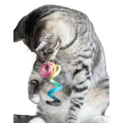 Kattleksak Vår Eco Toy spiral Regnbåge