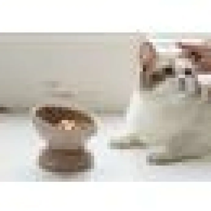 Kattmatskål Ceramic Ädelruggad sluttande
