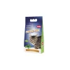 Kattmynta Nobby 25 g