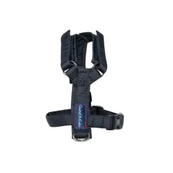 Kattsele Gustaf & Evita Strap Svart