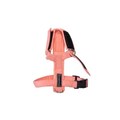 Kattsele Gustaf och Evita Strap Peach
