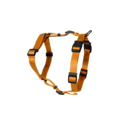 Kattsele H-modell Orange xs