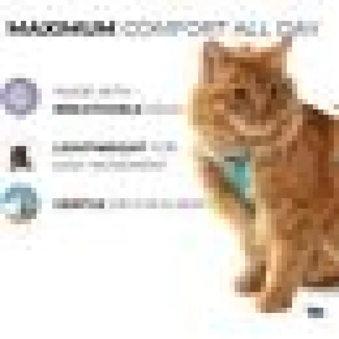 Kattsele H-sele Komfort m Koppel Blå