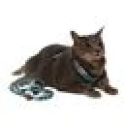 Kattsele H-sele Komfort m Koppel Noronha