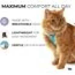 Kattsele H-sele Komfort m Koppel Maresia
