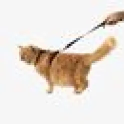 Kattsele H-sele Komfort m Koppel svart