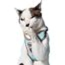 Kattsele H-sele Komfort m Koppel Swell
