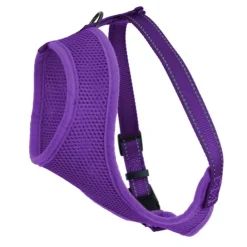 Kattsele Iris Lila M