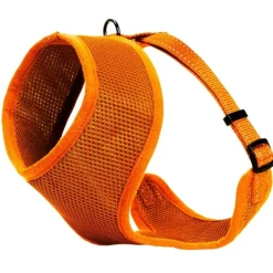 Kattsele Iris Orange S