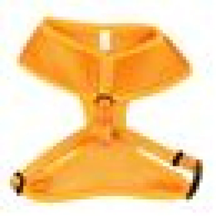 Kattsele Iris Orange S