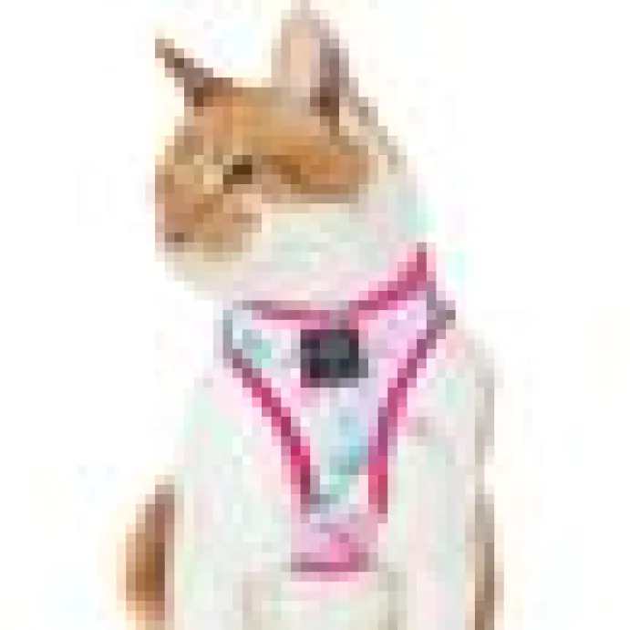 Kattsele little kitty Bomullsgodis