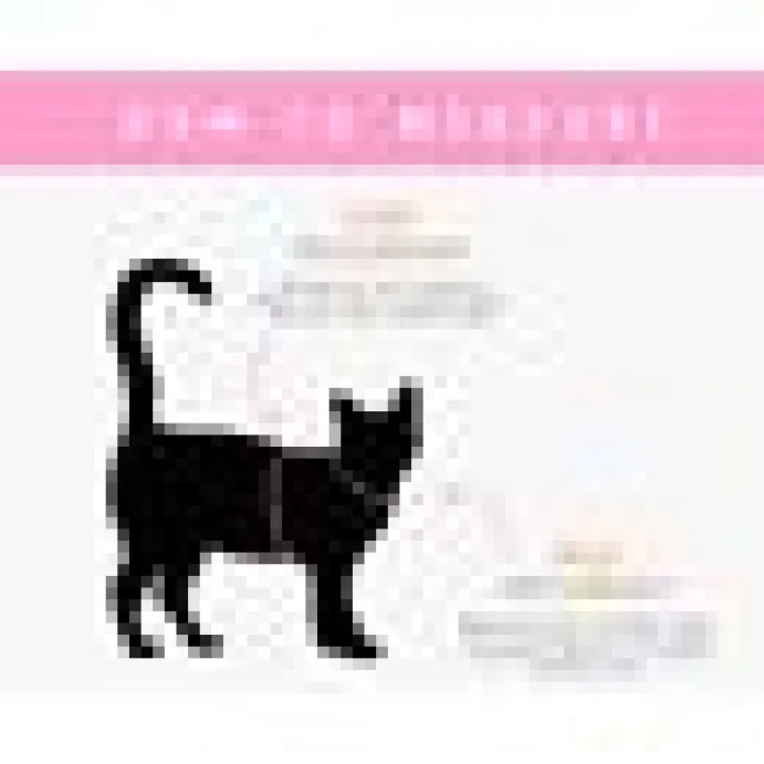 Kattsele little kitty Nova Rutigt