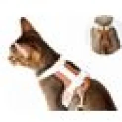 Kattsele Loofie växtläder Beige