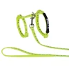 Kattsele Nylon My Boss Is Neongul