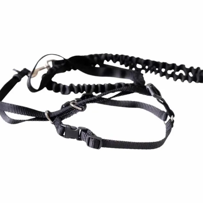 Kattsele Pluto Premium Small Svart