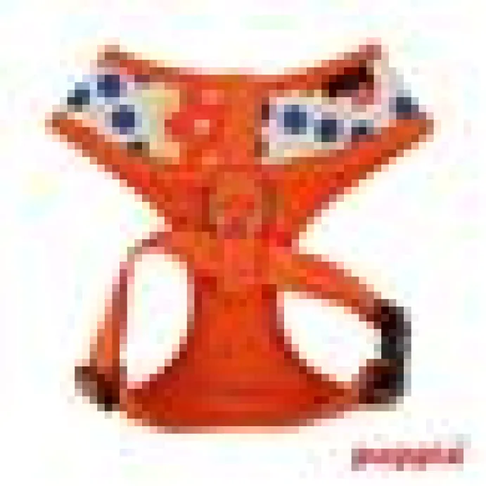 Kattsele Puppia blossom Orange XS