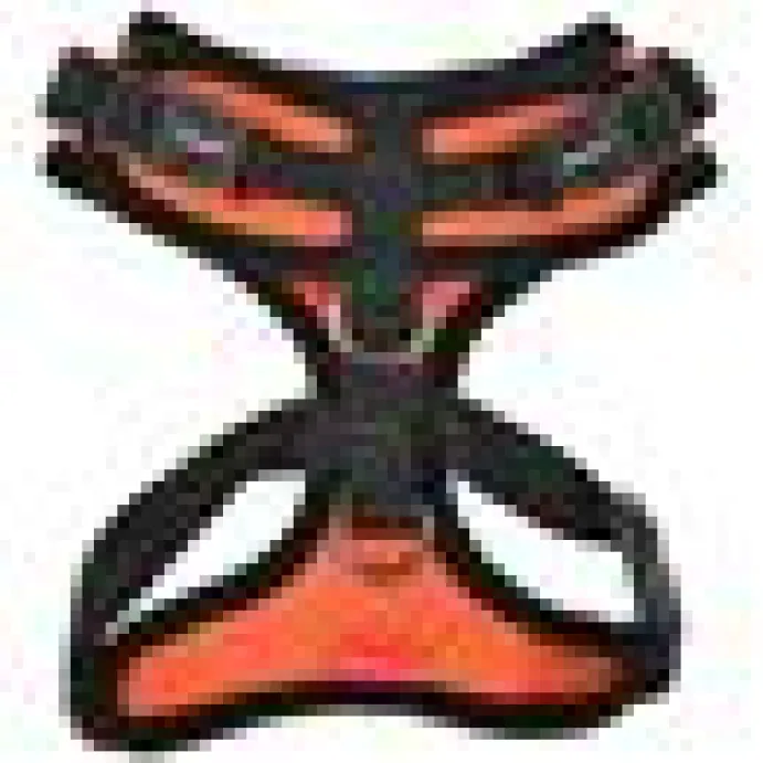 Kattsele Puppia Ritefit Orange