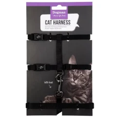 Kattsele-set Findus Svart