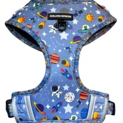 Kattsele Space World