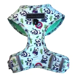 Kattsele Sweet Pandas