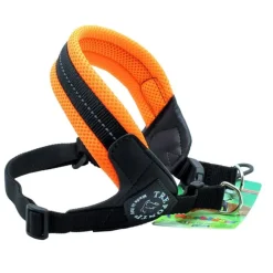 Kattsele Tre Ponti RR200 orange reflex