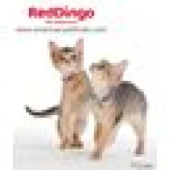 Kattungehalsband RedDingo ljusrosa