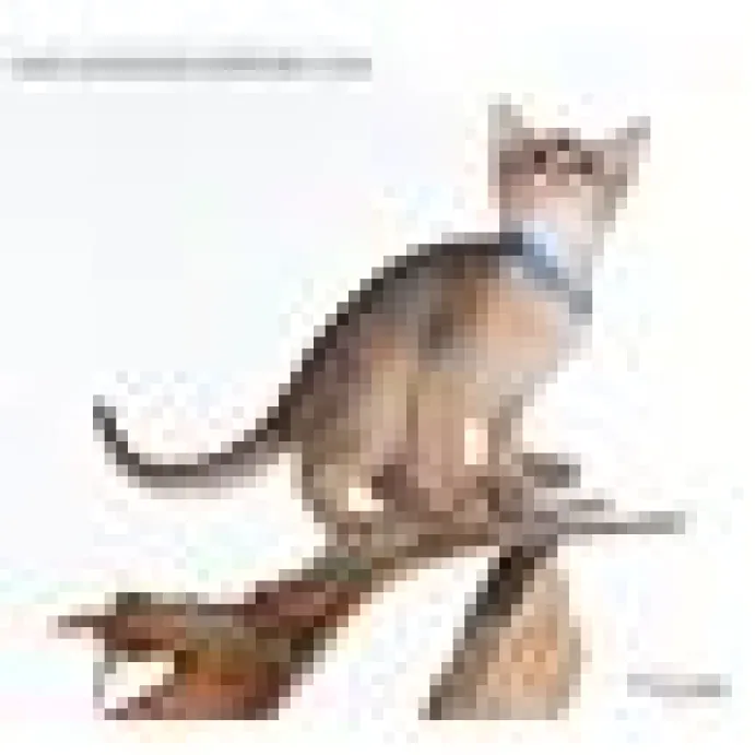 Kattungehalsband RedDingo ljusblå