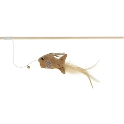 Kattvippa Fishing