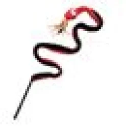 Kattvippa Snake
