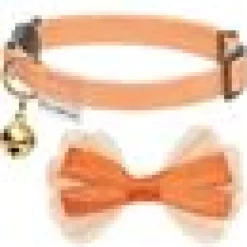 klassiska eleganta Katthalsband rosett Orange