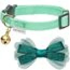 klassiska eleganta Katthalsband rosett Mint