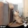 Klösbräda D&D Home Henny för Soffan