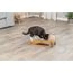 Klösmöbel ramp med boll