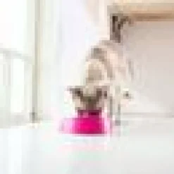 LICKIMAT CAT ORAL HYGIENE BOWL ROSA
