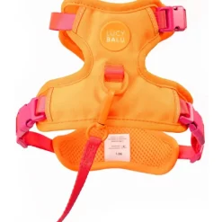LucyBalu Explorer kattsele Apelsin M/L