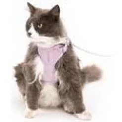 LucyBalu Explorer kattsele Lila XS/S