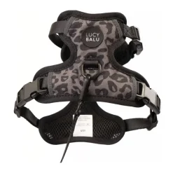 LucyBalu Explorer kattsele Leo XS/S