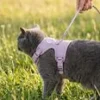 LucyBalu Explorer kattsele Lila M/L