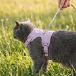 LucyBalu Explorer kattsele Lila M/L