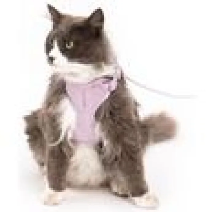 LucyBalu Explorer kattsele Lila M/L