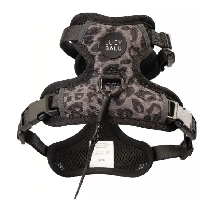 LucyBalu Explorer kattsele Leo M/L