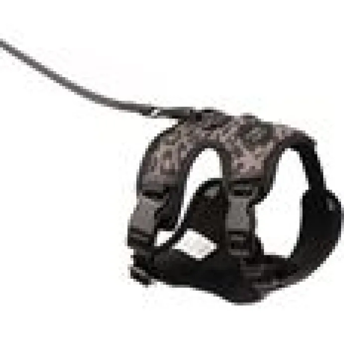 LucyBalu Explorer kattsele Leo M/L