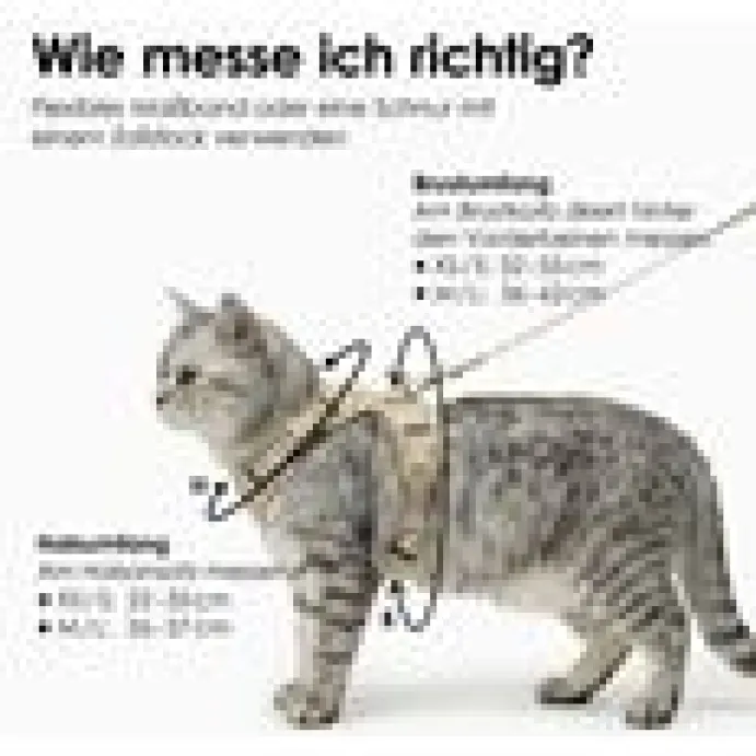 LucyBalu Explorer kattsele Leo M/L