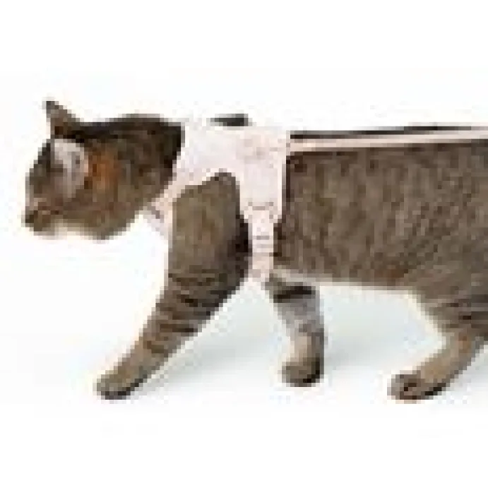 LucyBalu Explorer kattsele Rosé Hello Kitty XS/S